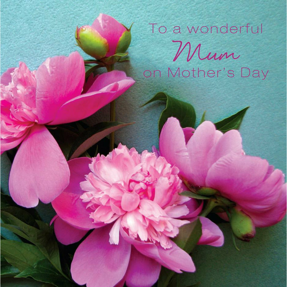 'TO A WONDERFUL MUM' Mother's Day Card Cards ABF The Soldiers' Charity Shop  (6340291428543)