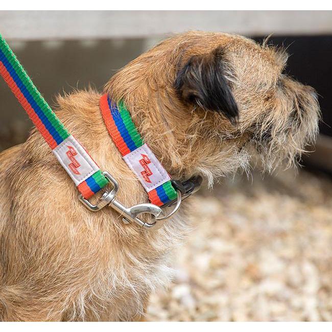 Dog Collar and Lead - ABF The Soldiers' Charity Shop